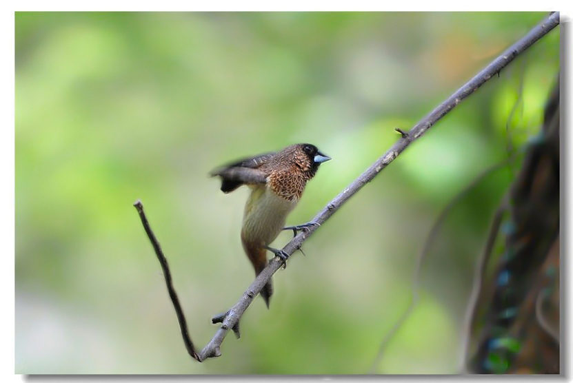 һ����ȸ2 241.jpg