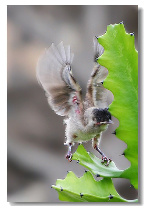 ר���� 146(1).jpg