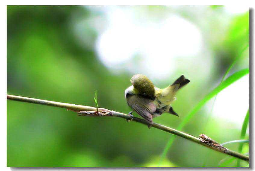 һ����ȸ3 021.jpg