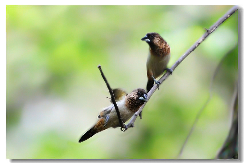 һ����ȸ2 214.jpg