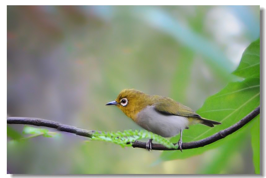 һ����ȸ 327.jpg