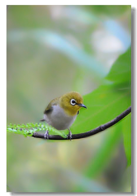 һ����ȸ 324.jpg