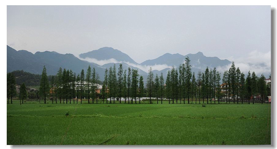 ���� 243.jpg