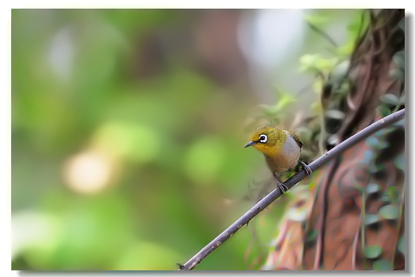 һ����ȸ 005.jpg