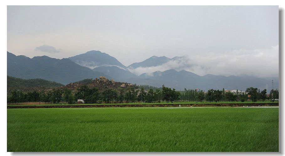 ���� 247.jpg