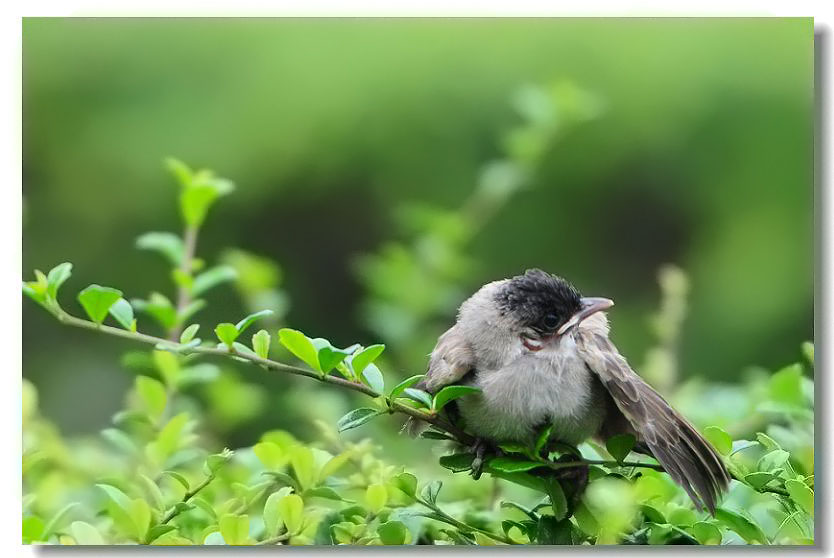 ר���� 128.jpg