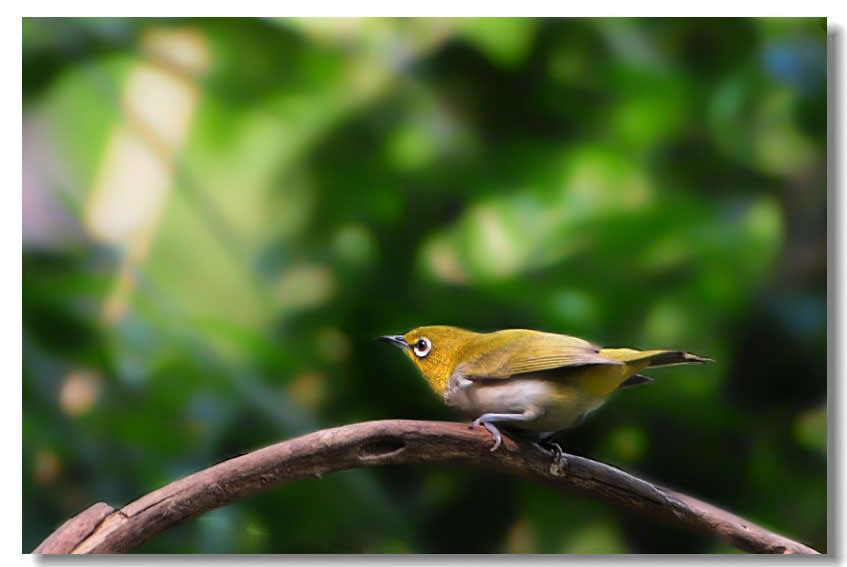 һ����ȸ 076.jpg