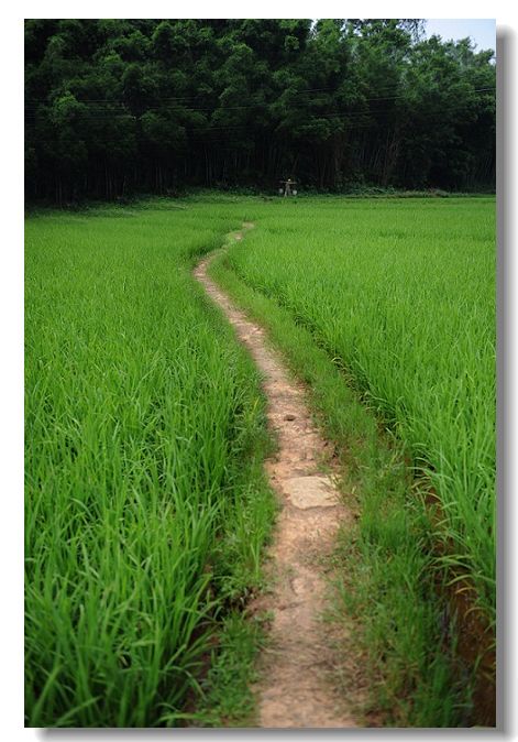 ��ɳ��ĸ�� 045.jpg