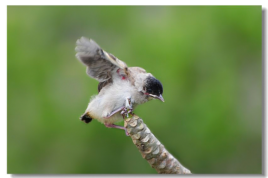 ר���� 281.jpg