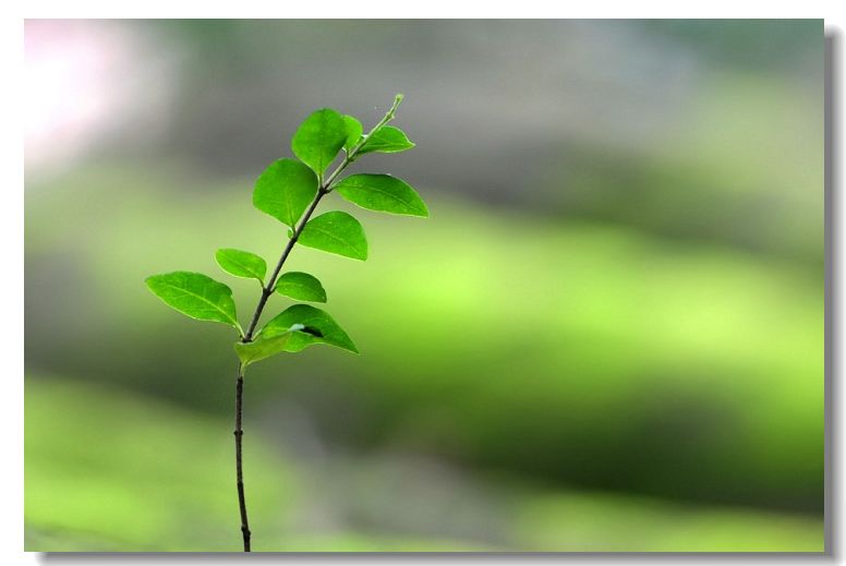 ��ʯ���� 084.jpg