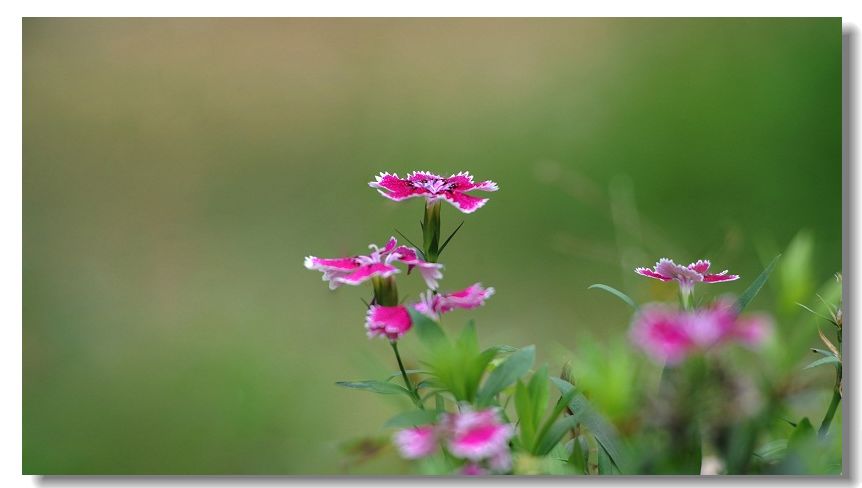 ����� 369.jpg