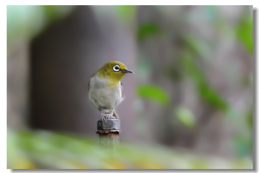 һ����ȸ 089.jpg