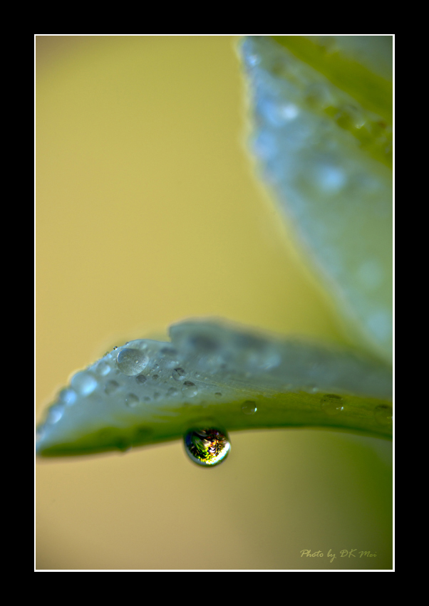 RainDrops 2.jpg