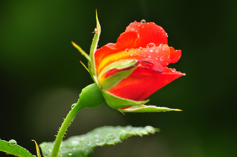 DSC_0427_����.jpg