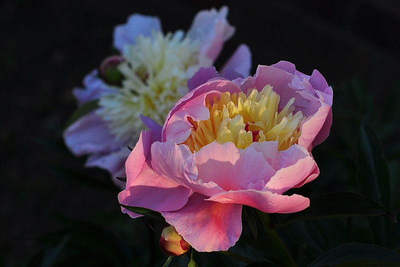 CSC_0364_����.jpg