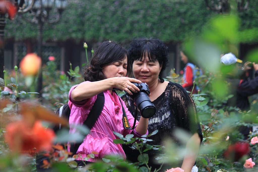 Ƭ 088.jpg