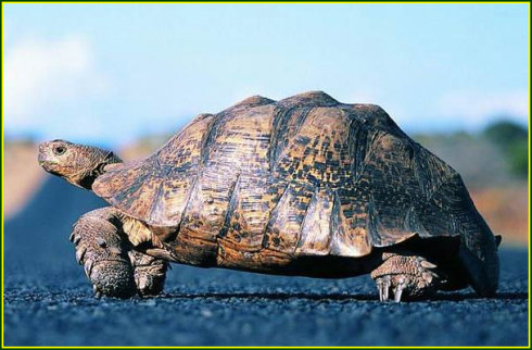 255_38312_700901ed94a3940.jpg