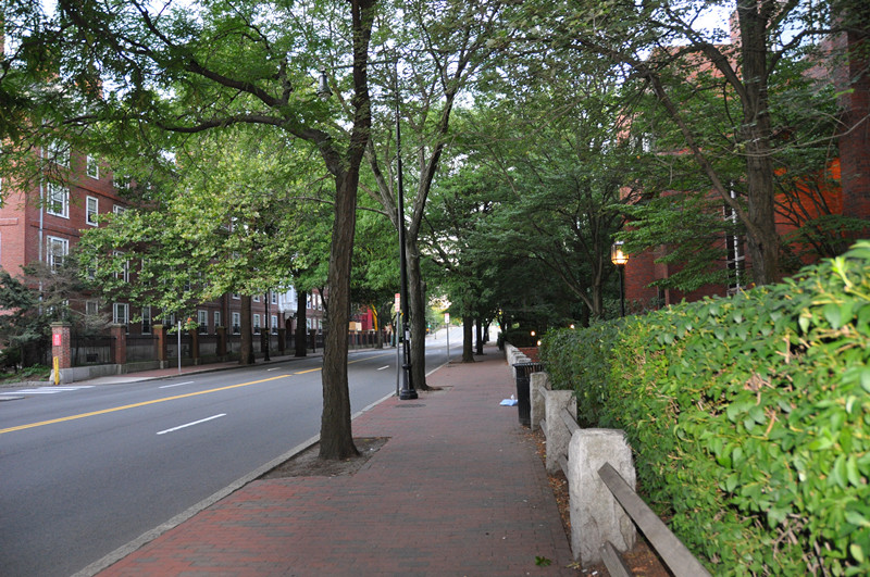 2010&nbsp;&nbsp;in harvard and boston 144_.jpg