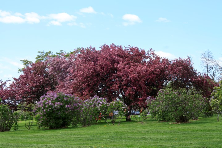 _MG_0121 (Small).JPG