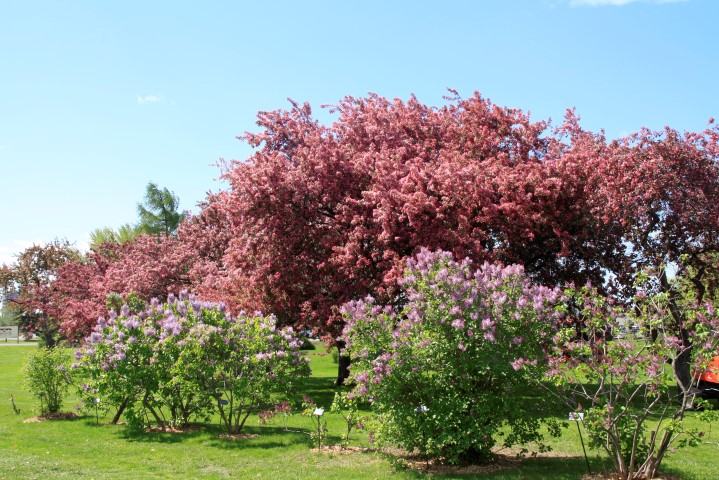 _MG_0108 (Small).JPG