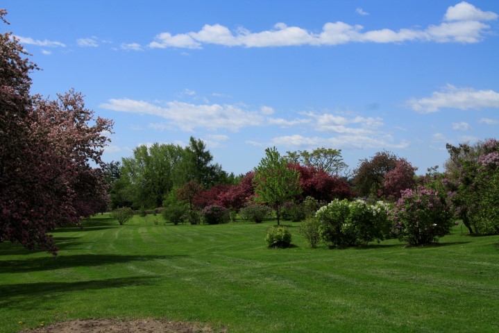 _MG_0127 (Small) (2).JPG