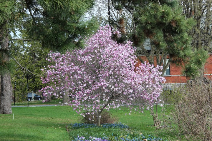 IMG_7932 (Small).JPG