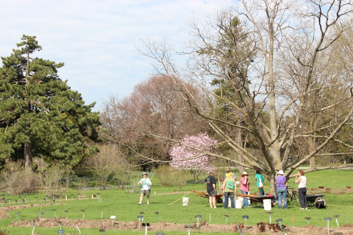 IMG_7929 (Small).JPG