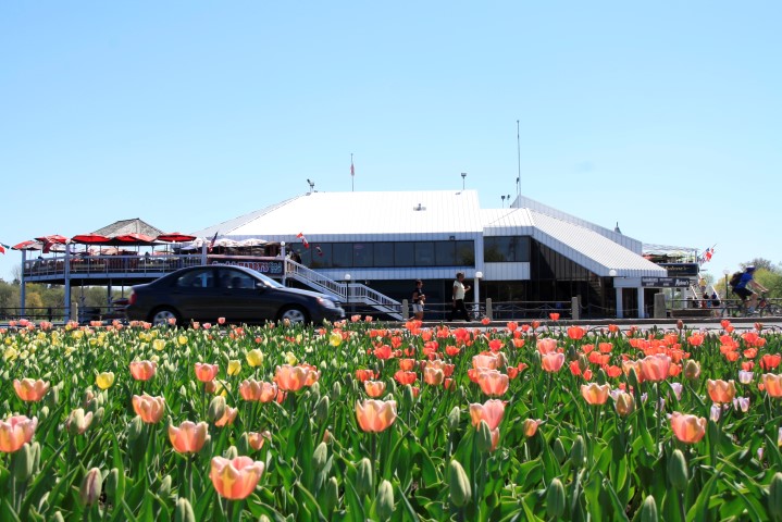 _MG_0162 (Small).JPG