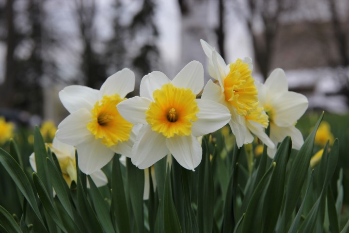 IMG_7881 (Small).JPG