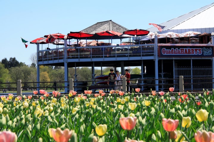 _MG_0163 (Small).JPG