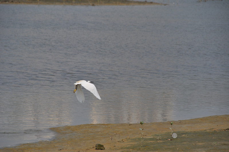 2010 hainan vacation 162_.jpg