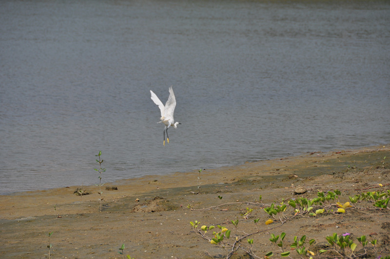 2010 hainan vacation 163_.jpg