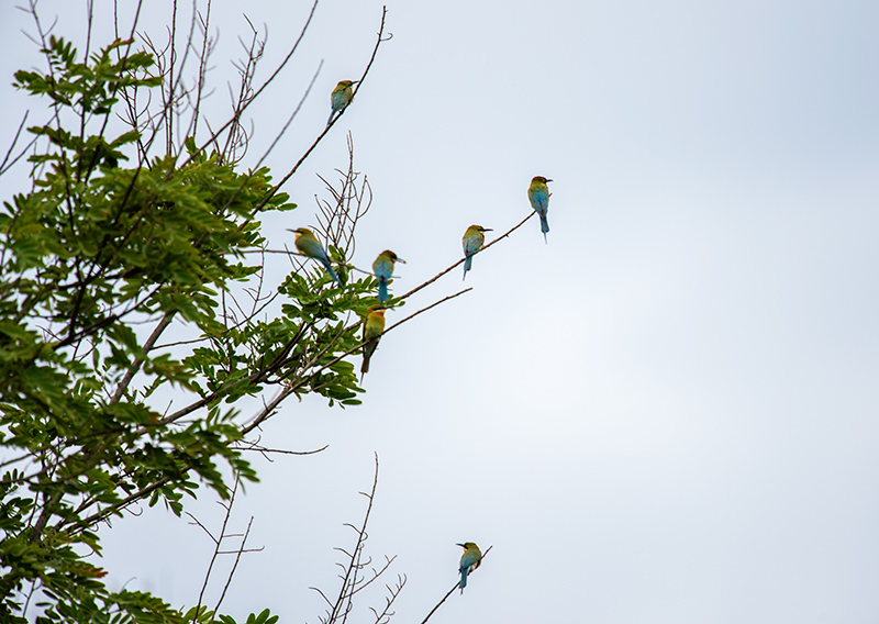 DSC_0375.jpg