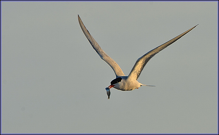 DSC_7582.jpg