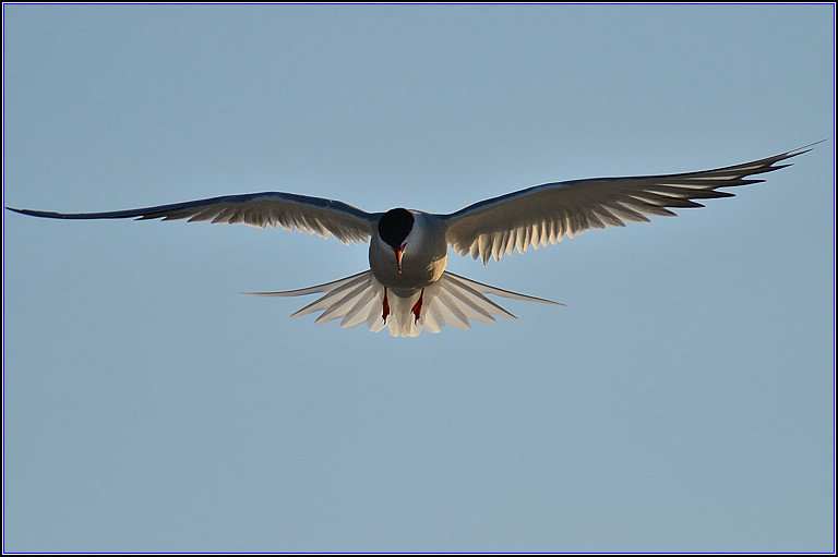 DSC_7657.jpg