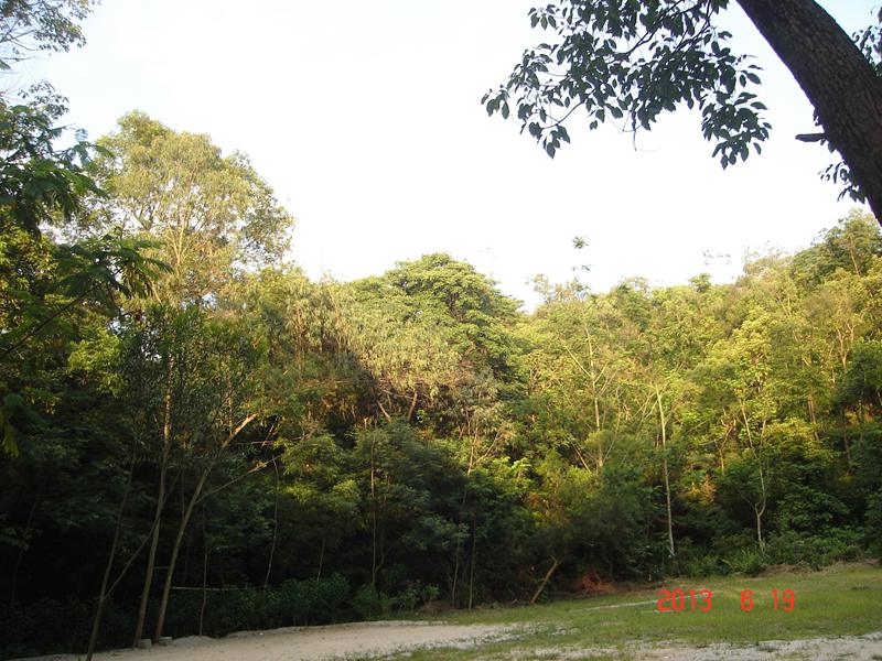 DSC04105.jpg