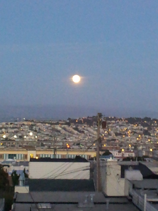 20130126_174524_.jpg