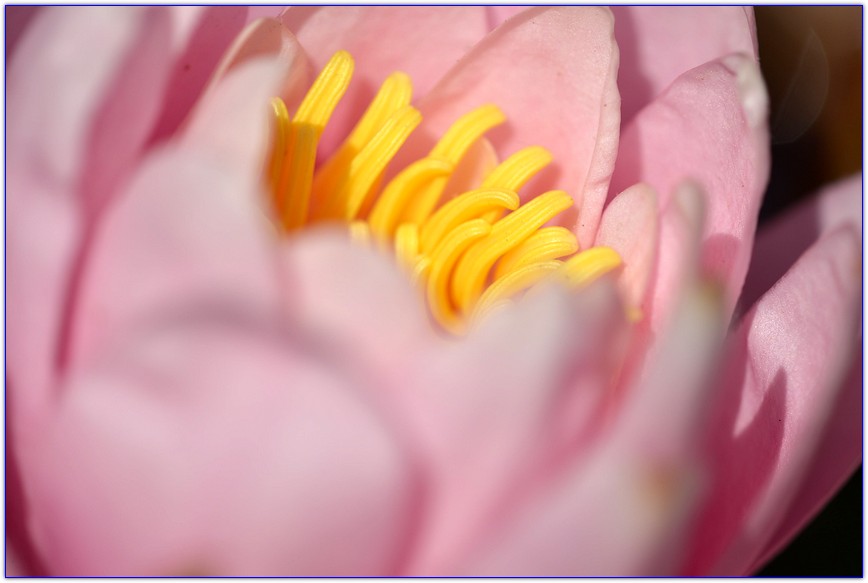 DSC_4349.jpg