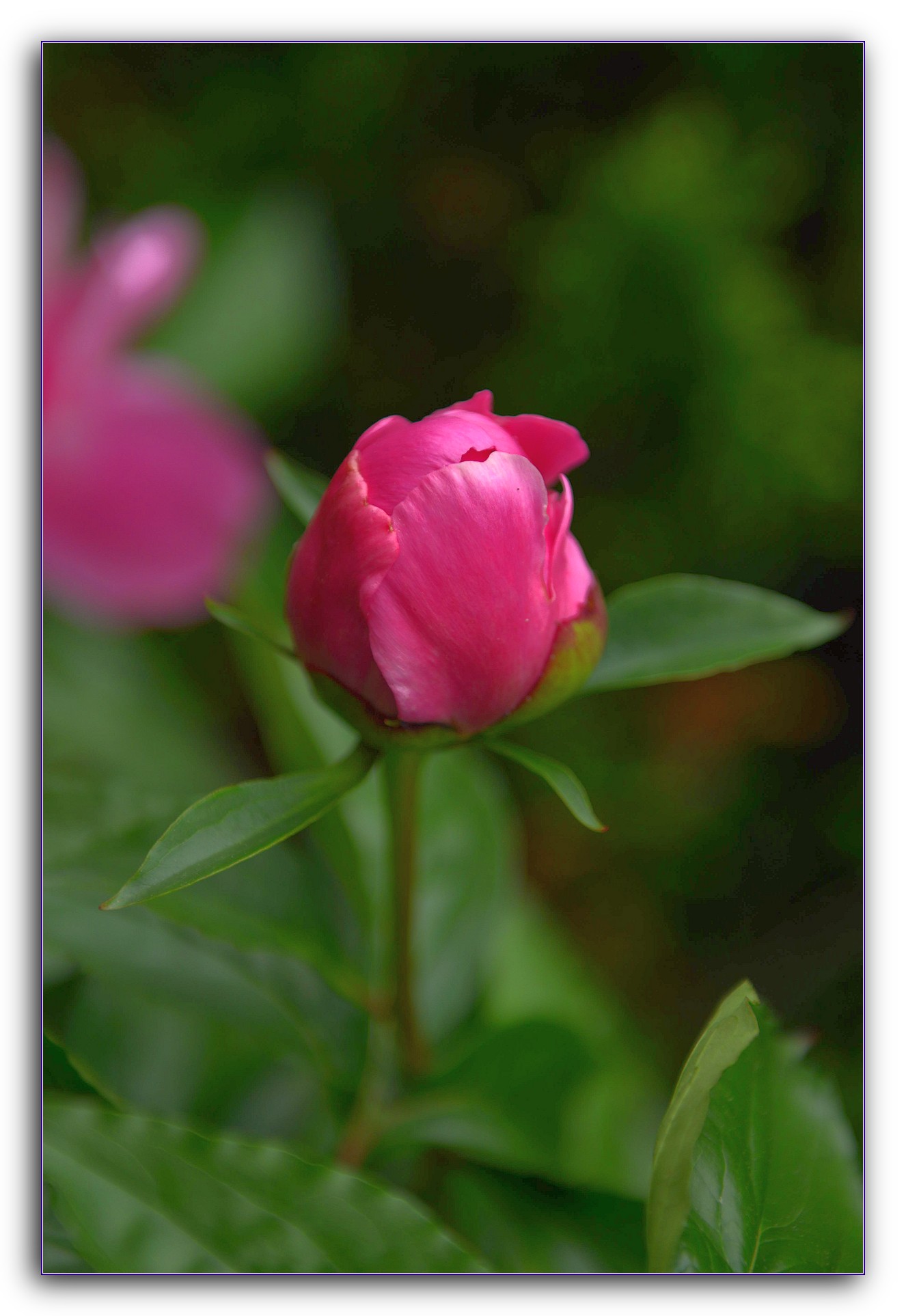 DSC_4084.jpg