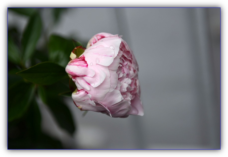 DSC_4089.jpg
