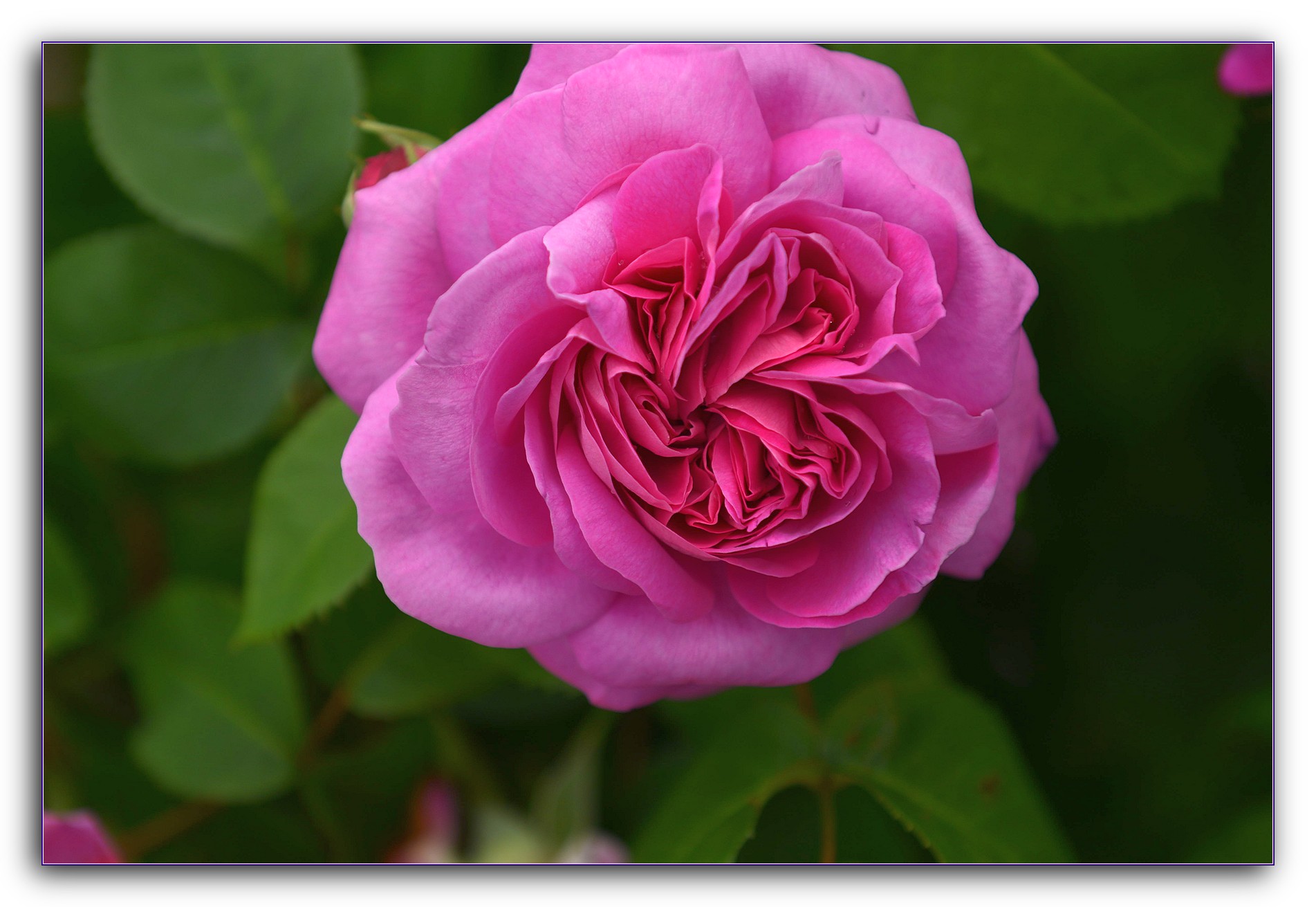 DSC_4027.jpg