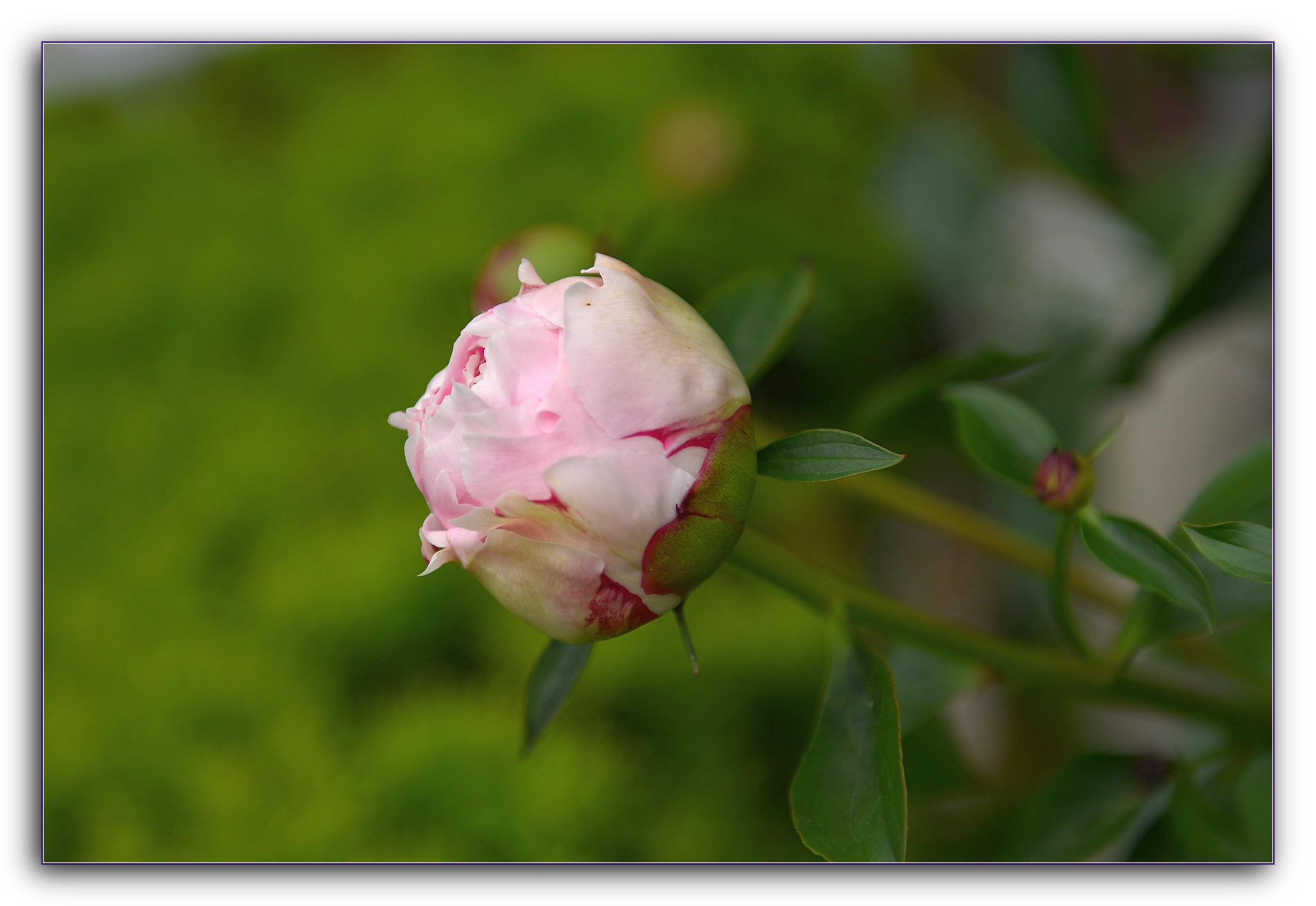 DSC_4093.jpg