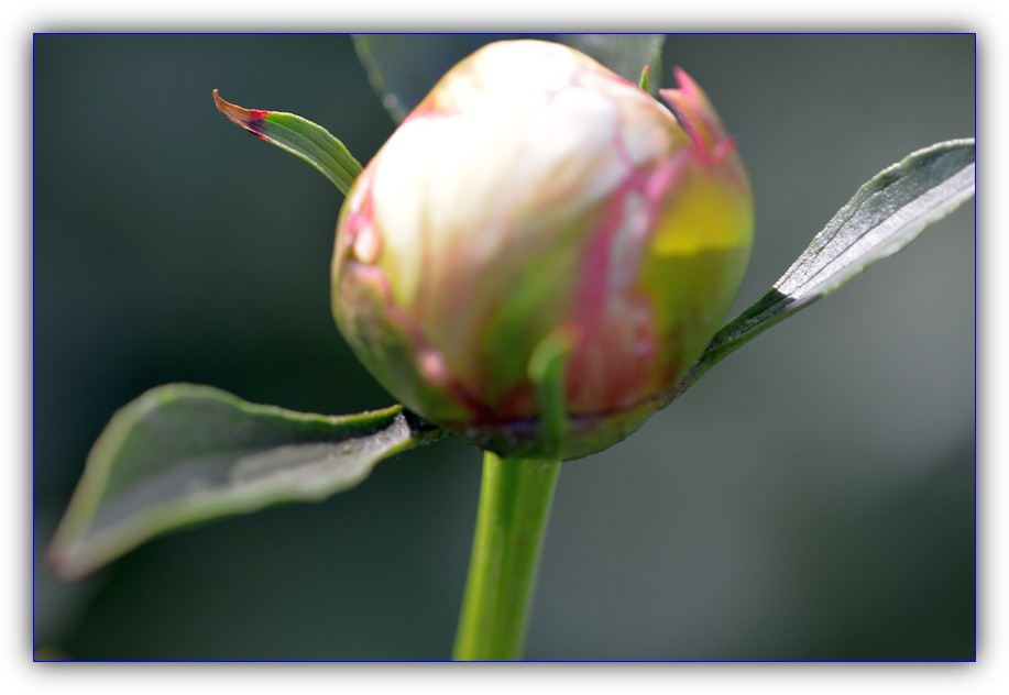 DSC_4404.jpg