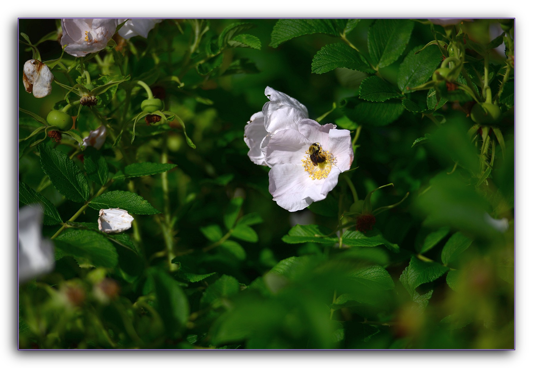 DSC_6451.jpg