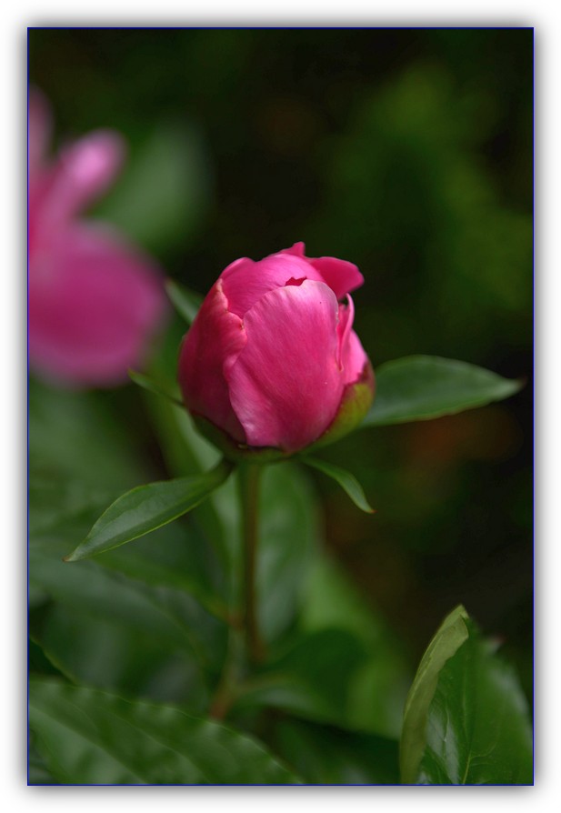 DSC_4084.jpg