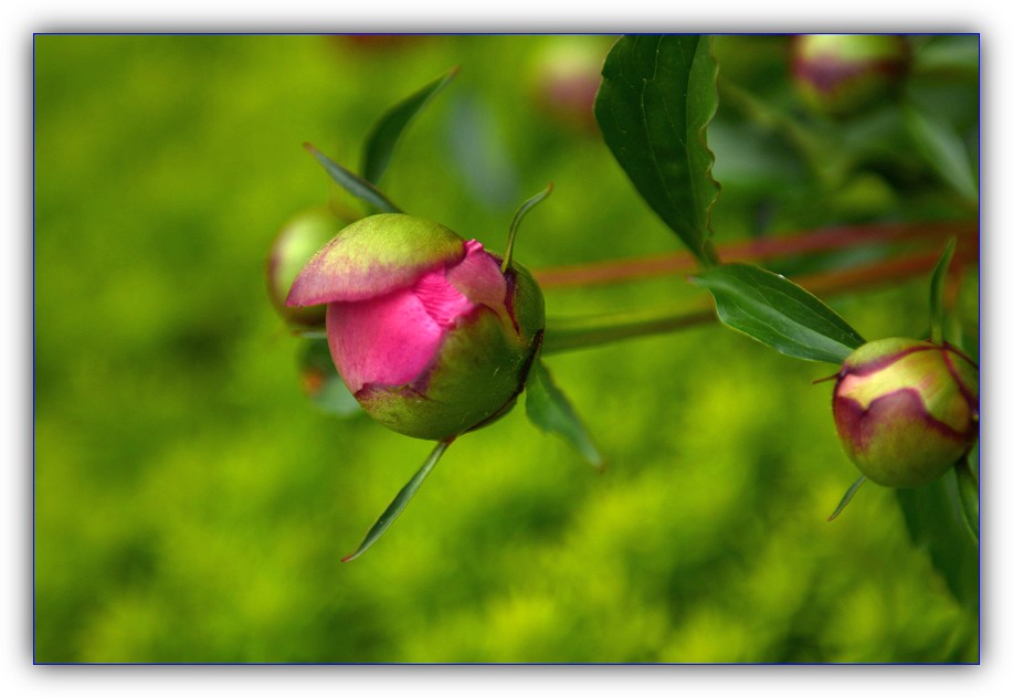 DSC_4086.jpg
