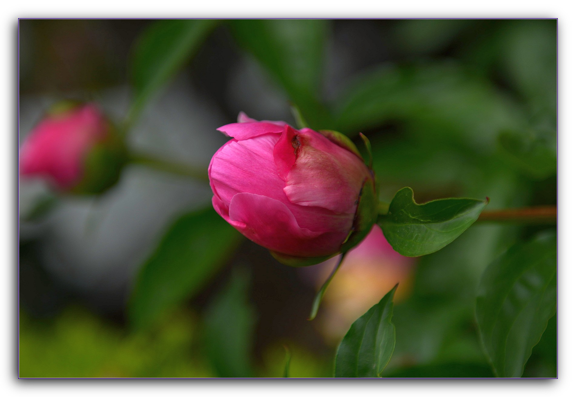 DSC_4085.jpg