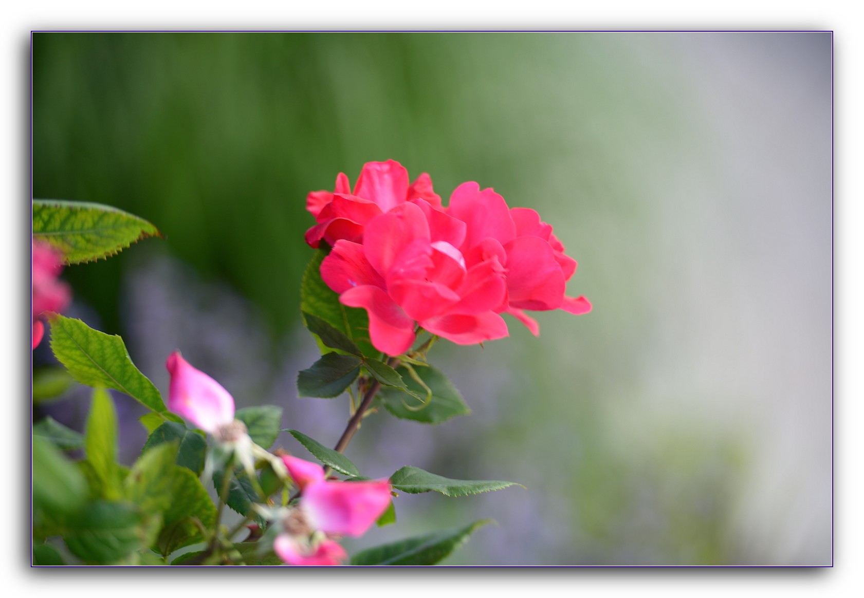 DSC_6429.jpg