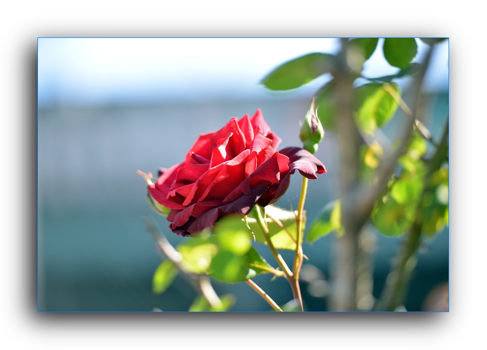 DSC_4891.jpg