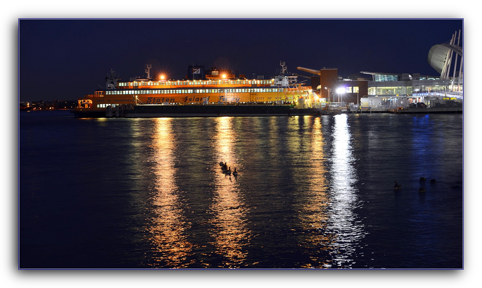 DSC_6669.jpg